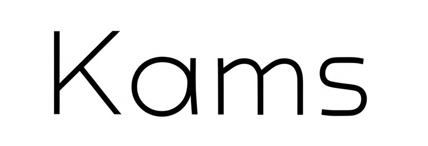 有限会社Kams